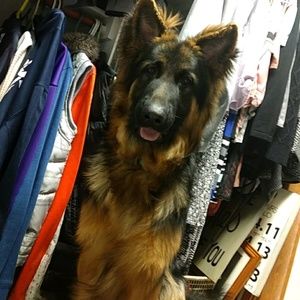 Meet your Posher, Erica